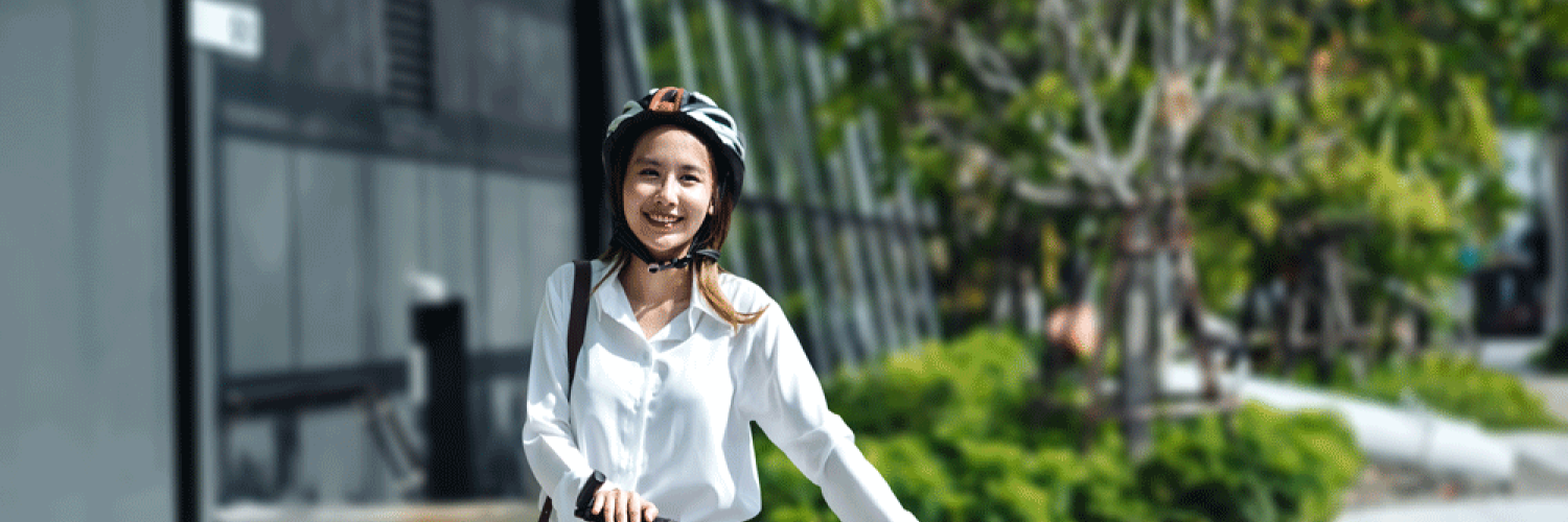 Transition to sustainable mobility