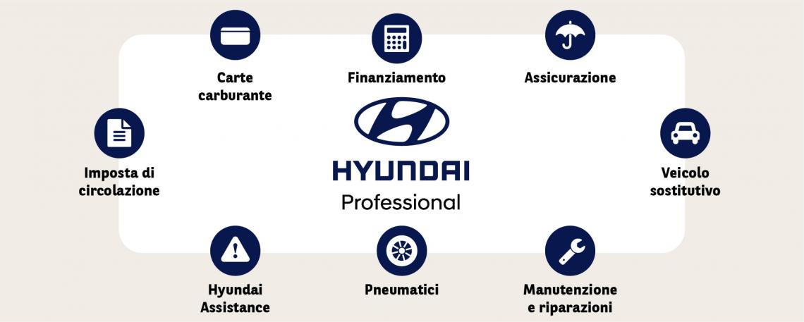 Hyundai Professional Pacchetto di servizi