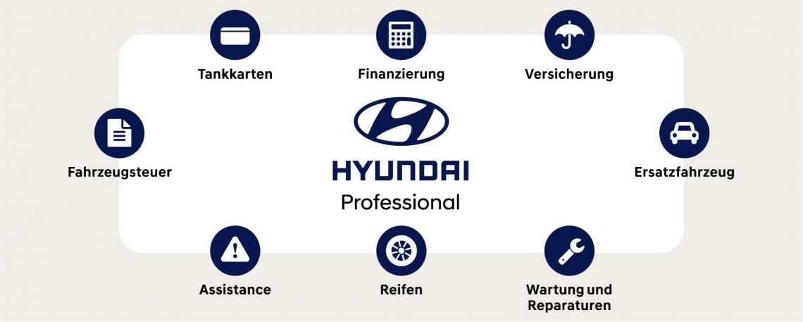Hyundai Professional Dienstleistungspaket